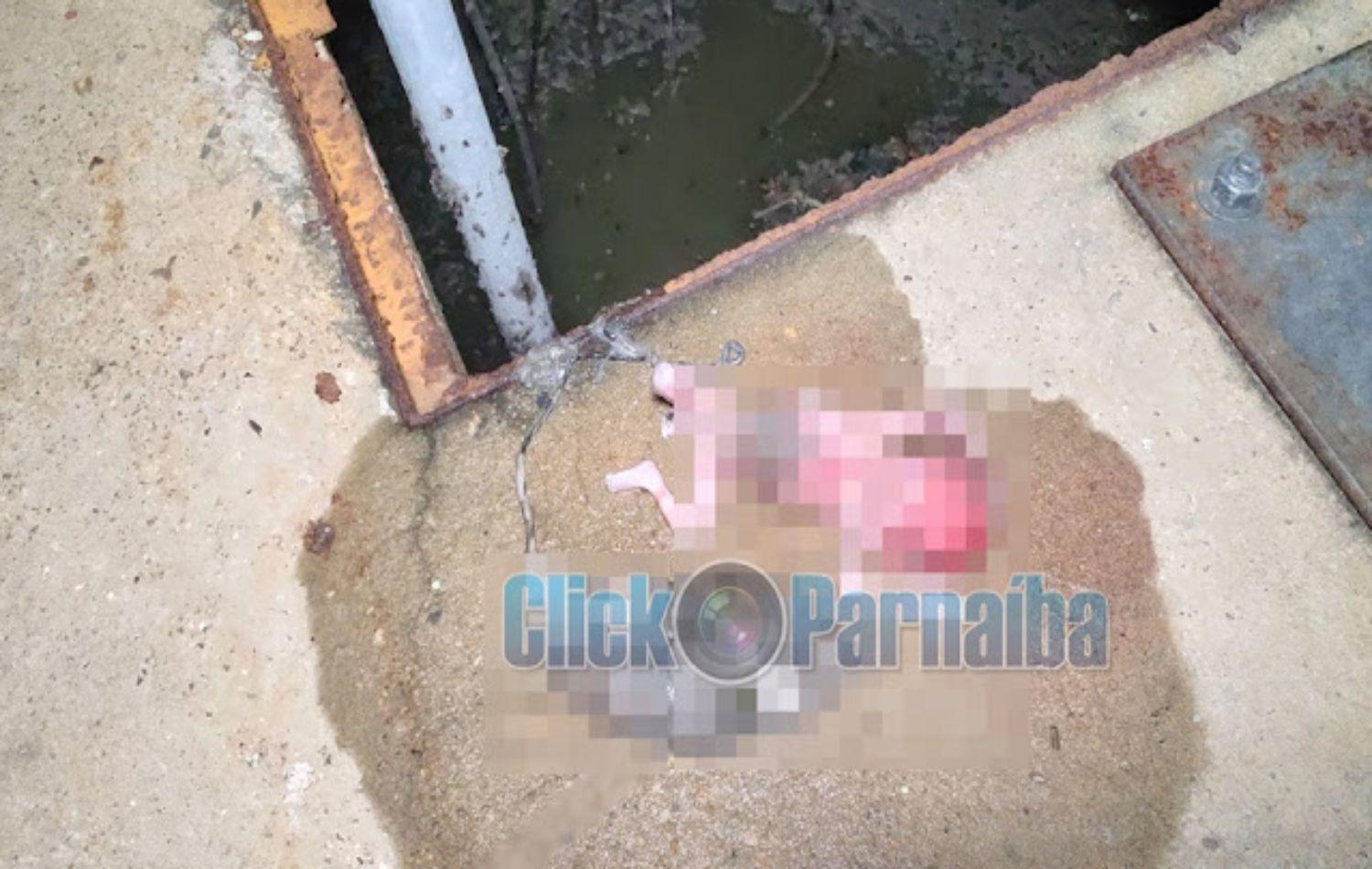 Feto humano é encontrado em estação de esgoto em Parnaíba