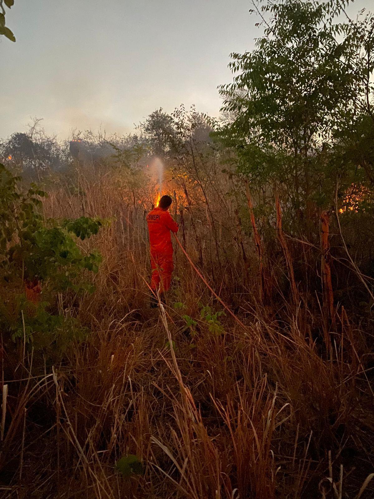 Incêndio atinge área de 130 hectares de vegetação e ameaça casas em Batalha